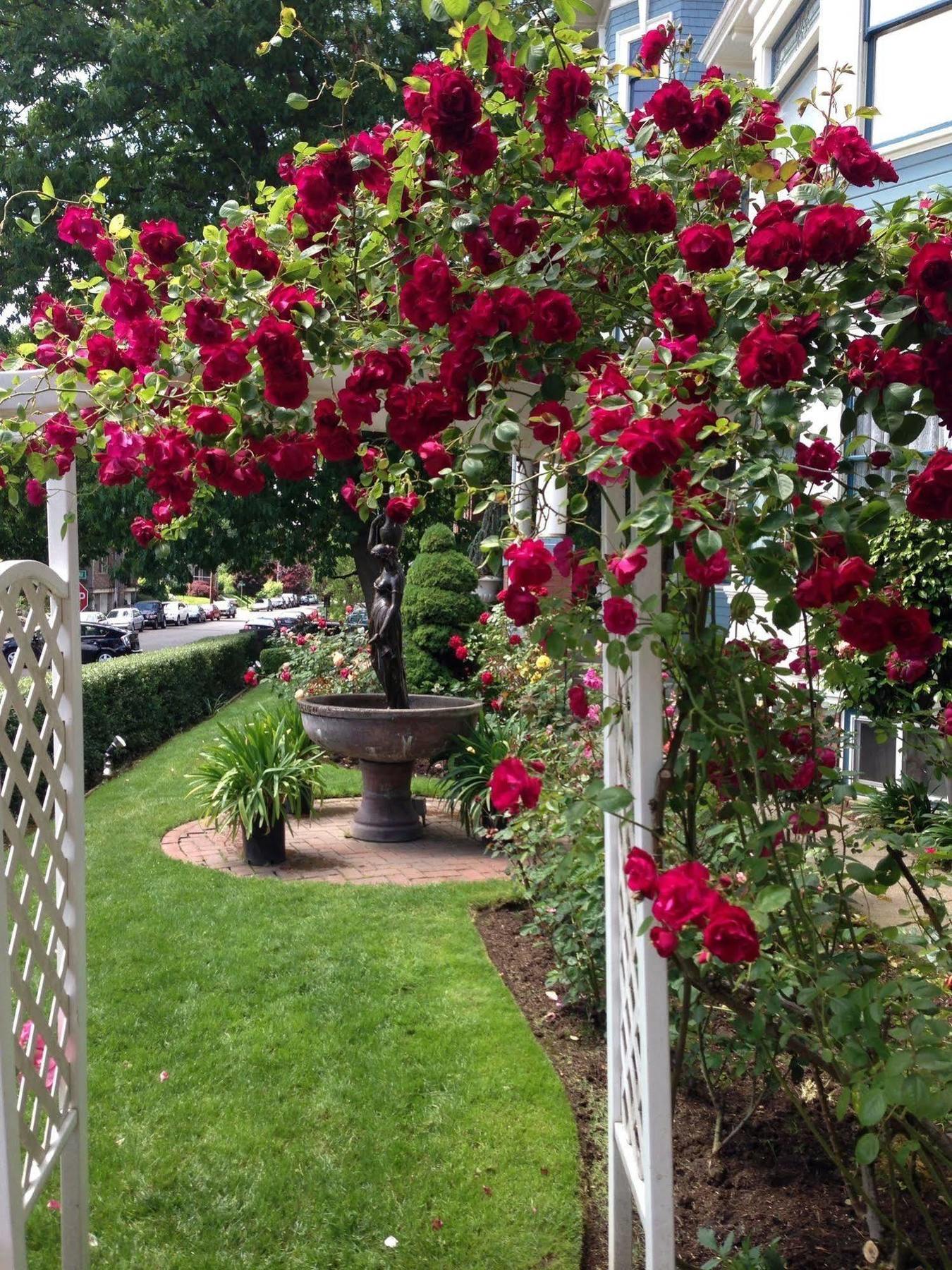 Lion And The Rose Victorian Guest House Portland Extérieur photo