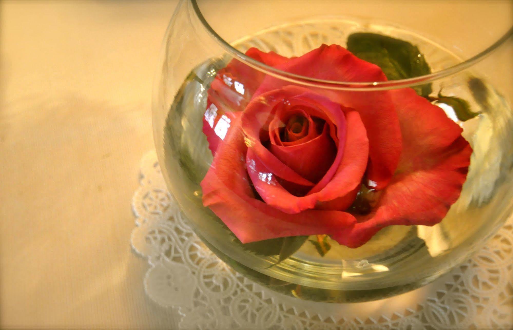 Lion And The Rose Victorian Guest House Portland Extérieur photo
